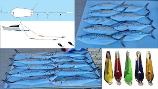 Unlocking the Secret to Moreton Bay Mackerel Trolling  Part 1 [upl. by Bud843]