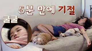 낮잠 타임 바쁜 민박집 일에 효리amp아이유는 기절zzz 효리네 민박 4회 [upl. by Lounge358]