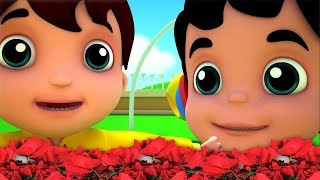 ringa ringa rose canzone  canzone del bambino  poesia per bambini  Ringa Ringa Roses  Kids Songs [upl. by Mario]