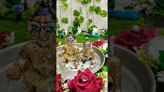 Madhav keshav ka morning snan viralvideo shortvideo keshavji hindugod funny [upl. by Danice]