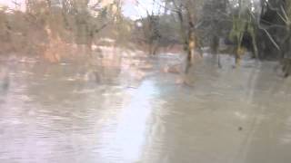 Rickmansworth Aquadrome amp Grand Union Canal  Floods Feb 20 [upl. by Yelkao]