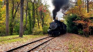 Wilmington amp Western at Wooddale Delaware Live Steam [upl. by Notneb]