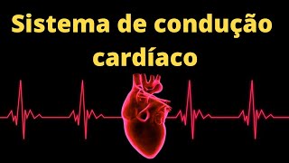 Sistema de condução cardíaco – Fisiologia Humana [upl. by Garik]