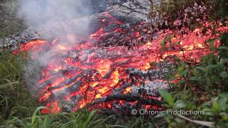 Pahoa Lava Flow [upl. by Alleirbag]