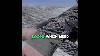 Comparing Main Features Sitka Aerolite Blizzard vs KUIU Kutana Gale Force  Gear Review  Shorts [upl. by Enileqcaj]