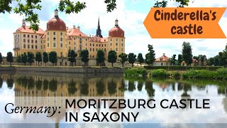 Moritzburg Castle A Perfect Day Trip Destination from Dresden [upl. by Abert]