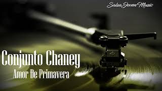 Amor De Primavera  Conjunto Chaney  Salsa Joven [upl. by Aramit654]