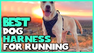 Best Dog Harness for Running in 2023  Top 5 Review  Large Medium amp Small Dogs Harness [upl. by Asseral]