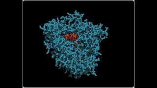 What is the Hepatic Microsomal Enzyme System [upl. by Peddada]