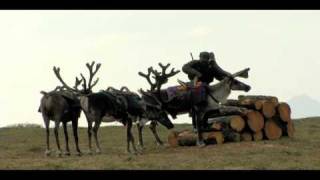 Tsaatan man riding reindeer [upl. by Nairam248]