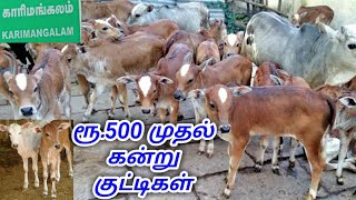 ரூ500 முதல் பால் மறவாத பச்சிலம் கன்று குட்டிகளின் சந்தை  Small Cow Just 500₹ Ruppes Only [upl. by Svensen]