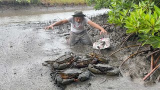 Catching Mud Crabs in the Rain – Epic Adventure [upl. by Corene856]