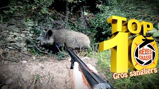 Top 10 Rêves De Chasse n°14  Décembre 2023  Edition spéciale quotGros Sangliersquot [upl. by Giah]