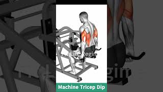 Machine Tricep Dip How To Do [upl. by Adiari]