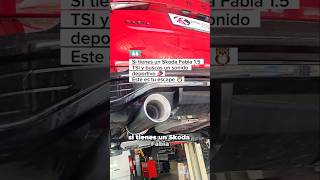 SKODA FABIA 15TSi Don Silencioso ROAR Exhaust 📣 🦉 Sound [upl. by Saerdna]