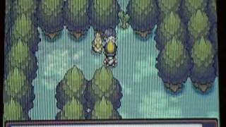 Pokemon Heart Gold Walkthrough Episode 14 Fetching FarFetchd [upl. by Halpern]