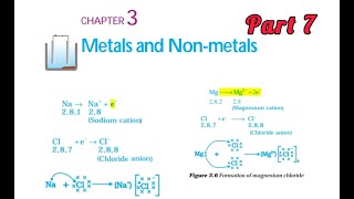 Metals and NonMetals lesson in Tamil  Part 7  NCERT Class 10 Chapter 3 Chemistry chem speed [upl. by Olonam]