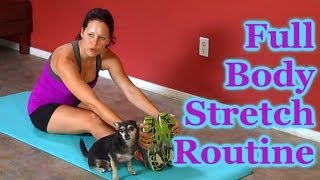 Full Body Stretch Routine  How to Test amp Improve Flexibility for Beginners  Dena Maddie [upl. by Landsman487]