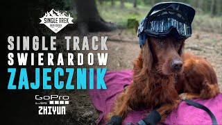 Świeradów  Zajęcznik  Góry Izerskie Single Track Świeradów  Enduro MTB DH TRASA [upl. by Adaner]