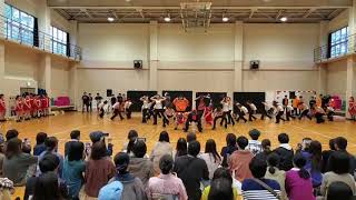 新潟大学ダンスチームMIMA 新大祭19 Ending [upl. by Ecinwahs521]