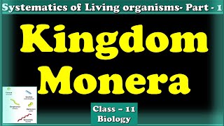 Kingdom MoneraFEATURES OF BACTERIASystematics of living organisms Sanjay Lad sir Wadia college [upl. by Eivod943]