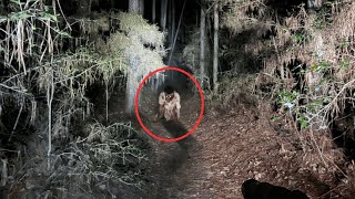 25 SCARIEST Hiking Encounters Caught On Camera  Scary Comp V60 [upl. by Salomo557]