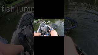 Lucky catch fish jumps off into net bassfishing kayakfishing fishing lucky [upl. by Legge476]