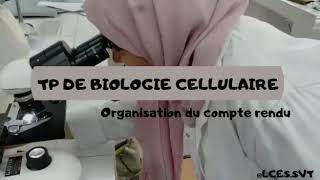 TP DE BIOLOGIE CELLULAIRE  ORGANISATION DU COMPTE RENDU [upl. by Glimp]