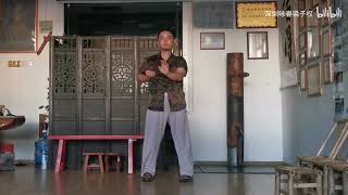 Foshan Wing Chun 佛山咏春  Chum Kiu 寻桥 [upl. by Madai]