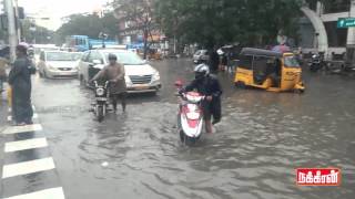 Rain in Chennai  01122015 [upl. by Maloney867]