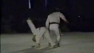 1990 Okinawan Karate  Kobudo Festival Demonstrations3 [upl. by Verneuil]