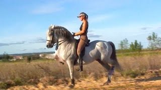 Le Trot Espagnol de Jenny et Irado Dressage Artistique [upl. by Gilcrest322]