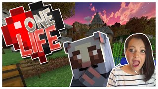 One Life  Episode 9  A stick really [upl. by Towne]