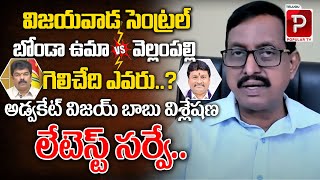 Advocate Vijay Babu Latest Survey Report On Who Will Win Vijayawada Central  Bonda Vs Vellampalli [upl. by Allis325]