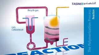 Polypropylene PP Production Process Overview [upl. by Saiff649]