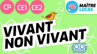 Vivant et non vivant CP  CE1  CE2  Cycle 2  Questionner le monde  Le monde du vivant [upl. by Anez]