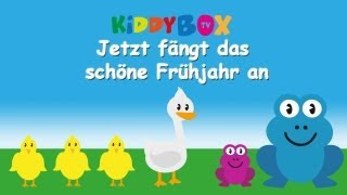 Jetzt fängt das schöne Frühjahr an  Kinderlieder zum Mitsingen  KIDDYBOXTV [upl. by Chaffinch]