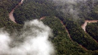 Oil Drilling Underway Inside the Yasuni National Park of Amazonian Ecuador [upl. by Ishmul]