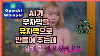 약후 Whisper AI가 내 모든 동영상에 한국어 자막 달아준다 Open AI [upl. by Gwennie978]