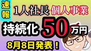 速報8月8日15時・持続化補助金採択発表・前代未聞？申請件数非公表・中小企業庁非公開とした理由は【中小企業診断士YouTuber マキノヤ先生】第1879回 [upl. by Shannen]