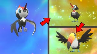 How to Evolve Pikipek into Trumbeak then Toucannon in Pokemon Scarlet amp Violet DLC [upl. by Adianez543]