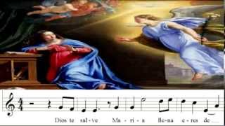 Marian song Dios te salve maria spanishtagalog and bisaya by kuya ramil [upl. by Naellij]