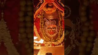 mahakal live darshan mahakal sarkar meremahadev ujjain hindutemple viralvideo [upl. by Melton]