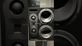 Aperion Audio Theatrus CinemaStudio AMT Ribbon Installation Monitor Speaker in Russia [upl. by Nodgnal]