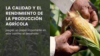 La importancia de la agroindustria [upl. by Stagg]