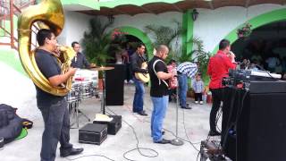 CON LA NOVEDAD NORTEÑO BANDA EL MILLER [upl. by Risser]