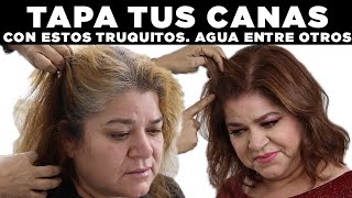 TAPA TUS CANAS TOTALMENTE CON ESTOS TRUCOS AGUA ENTRE OTROS [upl. by Giorgi]