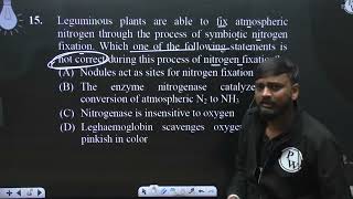 Leguminous plants are able to fix atmospheric nitrogen through the process of symbiotic nitrogen [upl. by Ialohcin231]