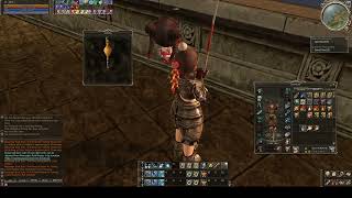 Lineage 2 Gameplay Legacy Fishing Guide [upl. by Aleacem]