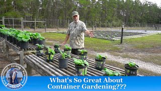 12 Reasons Why I Grow Vegetables in Containers [upl. by Whelan]